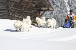 Kandersteg 2013